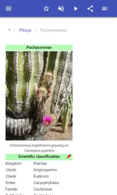 Cacti android App screenshot 12